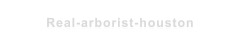 Real-arborist-houston